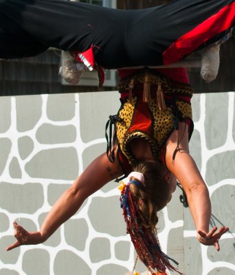 _DSC0188.