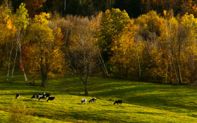 _DSC0299. St. Johnsbury, VT