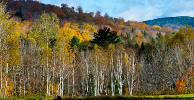 _DSC0393.