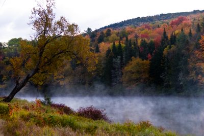 DSC_0004. Morning Mist - Errol,NH