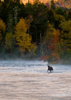 DSC_0022.