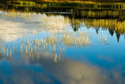 DSC_0027.
