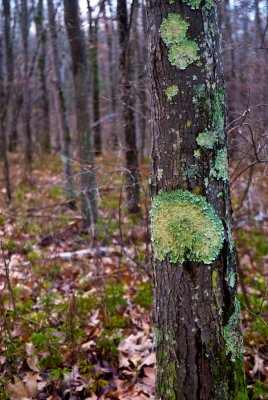 _DSC0036.jpg