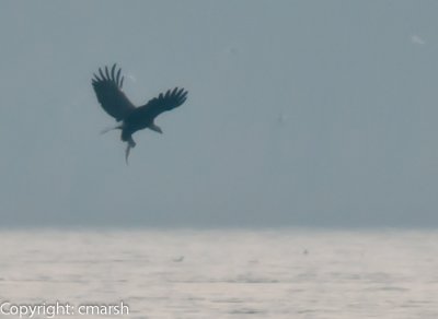 CLM_0723.jpg