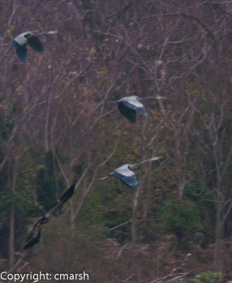 DSC_0660.jpg