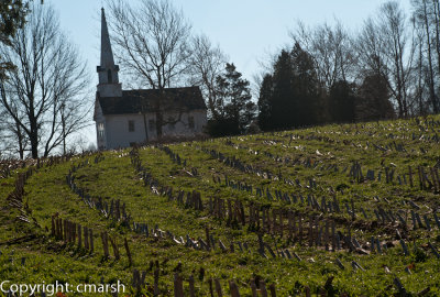 CLM_1363. Church In The Cornfield