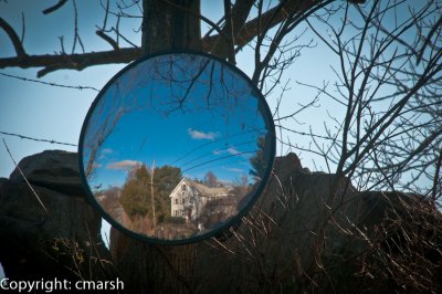 CLM_1376. Mirror Image