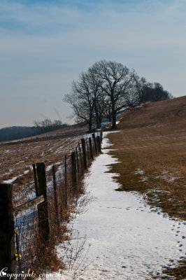 CLM_1585.jpg