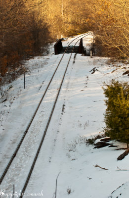 CLM_1610.jpg