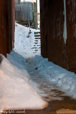 CLM_1621.jpg