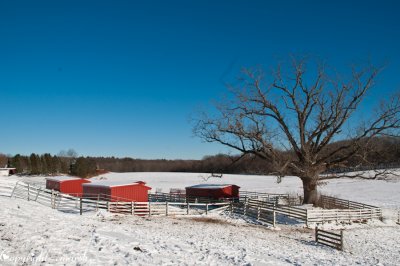 CLM_1880. Barns