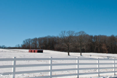 CLM_1883. Fences II