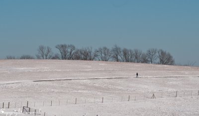 CLM_1897. Solitude