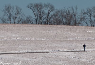 CLM_1898. Solitude II