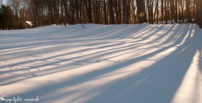 CLM_1905. Evening Light II