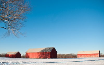 CLM_1914. Barns