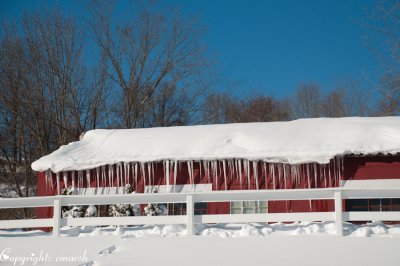 CLM_2039. Icicles II