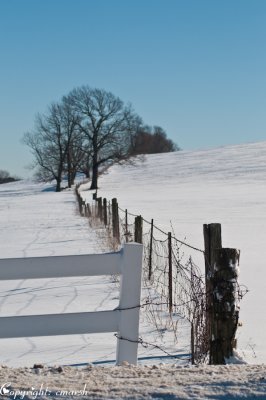 CLM_2051. Fences