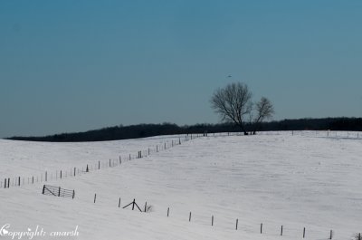 CLM_2052. Fences