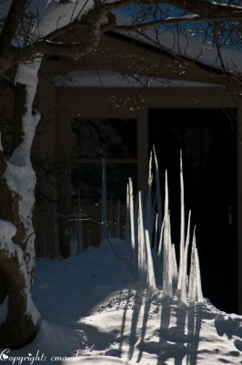 CLM_2055. Icicles