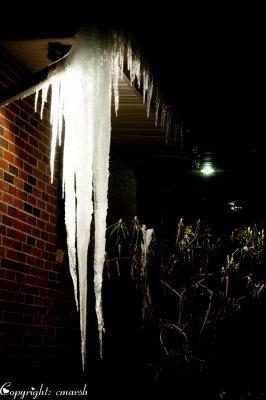 CLM_2081. Icicles III