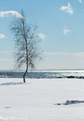 CLM_2238.jpg