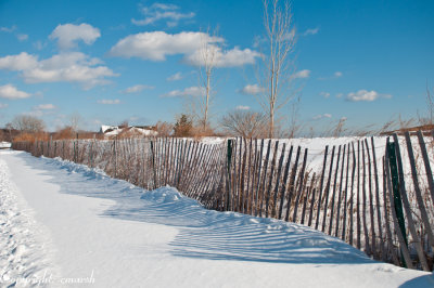 CLM_2241.jpg