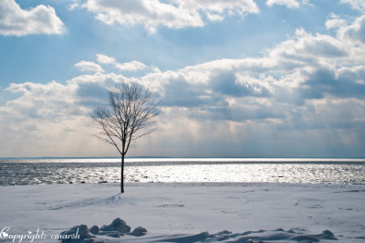 CLM_2278.jpg