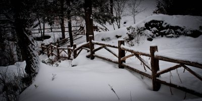 CLM_2433. Fences