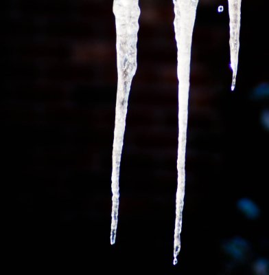 CLM_2451. Icicles IV
