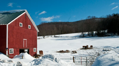 CLM_2509. On The Farm