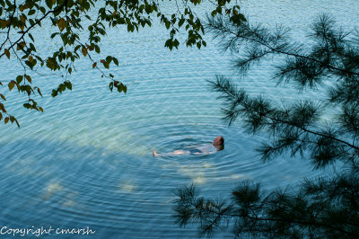 On Walden Pond