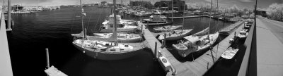 Eastport Marina Pano.JPG