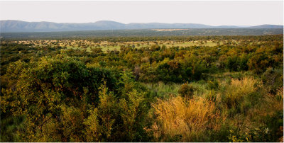 View of wildlife reserve environment.