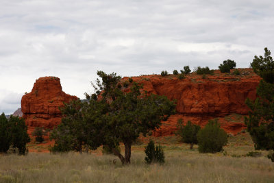 _MG_0147.jpg