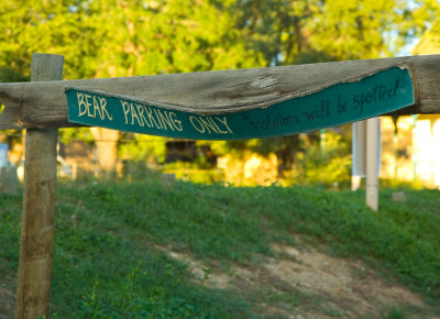 Bear Parking