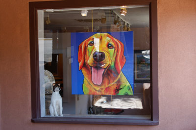 Colorful Dog