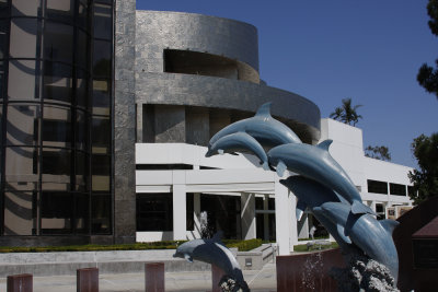 Dolphins jumping towards the library