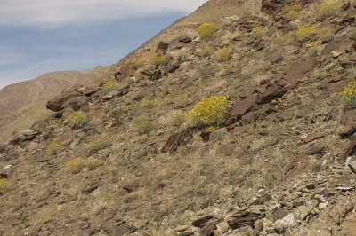 _MG_5460.jpg