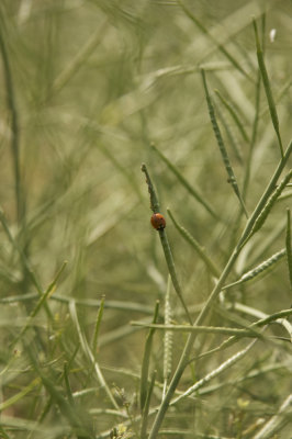 _MG_5471.jpg
