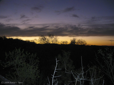 Sunrise Final Morning in Kruger