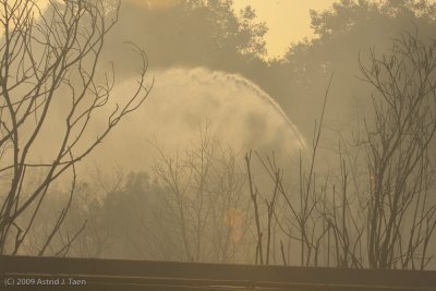 Cerritos Brush Fire