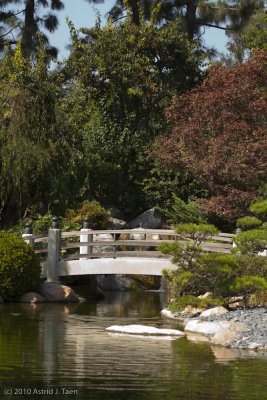 Earl Burns Miller Japanese Gardens
