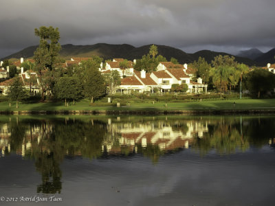 Late Afternoon Light