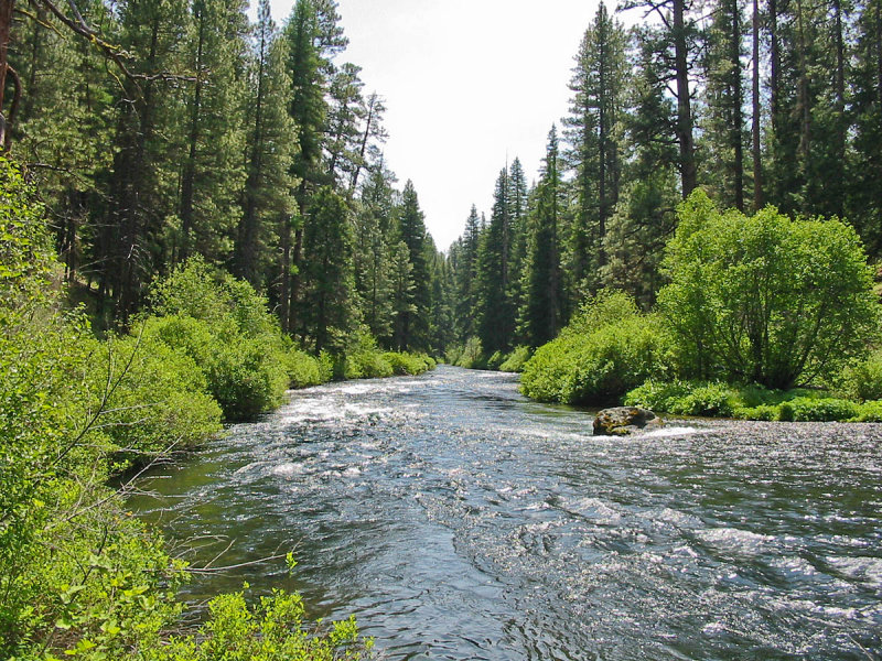 Metolius River