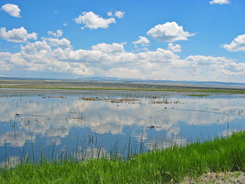 Malheur NWR