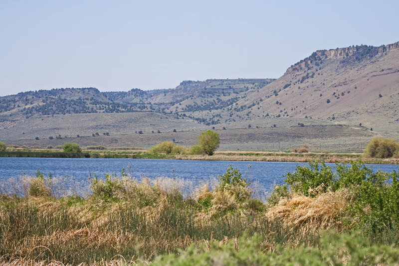 Benson Pond