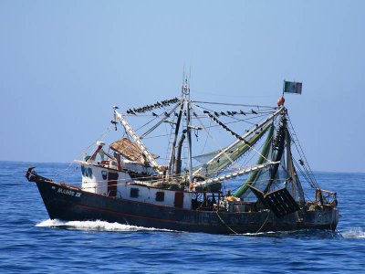 Fishing boat and Magnificent Frigatebirds in the rigging, Baja, Mexico