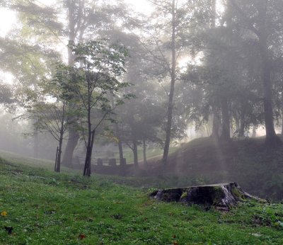 Foggy morning