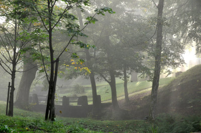 Serene morning